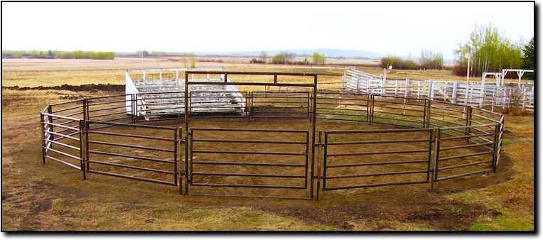 Horse Pens for Sale Alberta by ClearFab Manufacturing
