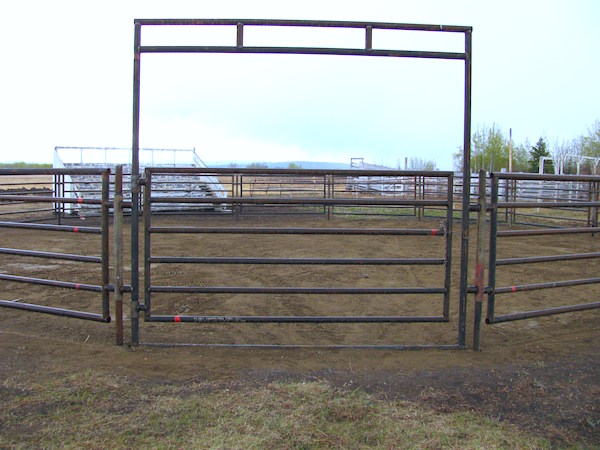 Steel horse gates for sale by ClearFab Manufacturing